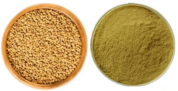 Fenugreek Extract Powder.webp